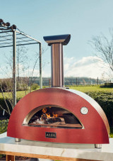 a wood fire in the pizza oven outside