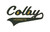 Colby Hornets Tackle Twill Hooded Sweatshirt (PC78H)