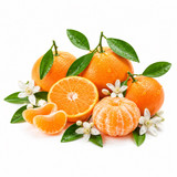 SCENTIFY FRAGRANCE OIL: TANGERINE 
