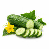 SCENTIFY FRAGRANCE OIL: CUCUMBER 