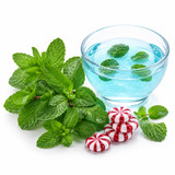 PREMIUM COLLAGEN PEPPERMINT SUGAR SCRUB ((BLUE COLOR)