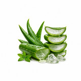 SCENTIFY FRAGRANCE OIL: ALOE VERA