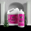 Biomax USA Acrylic Powder Natural