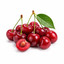 SCENTIFY FRAGRANCE OIL: CHERRY 