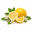 SCENTIFY FRAGRANCE OIL: FRESH LEMON 