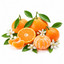 SCENTIFY FRAGRANCE OIL: TANGERINE 