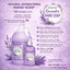 ANTIBACTERIAL LAVENDER HAND SOAP