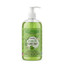 ANTIBACTERIAL GREEN TEA HAND SOAP