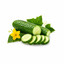 SCENTIFY FRAGRANCE OIL: CUCUMBER 