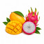 SCENTIFY FRAGRANCE OIL MANGO DRAGONFRUIT