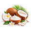 SCENTIFY FRAGRANCE OIL COCONUT CREAM