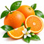 SCENTIFY FRAGRANCE OIL SWEET ORANGE
