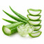 SCENTIFY FRAGRANCE OIL: ALOE VERA