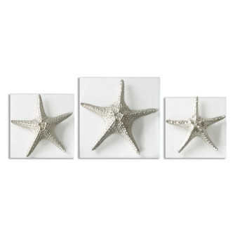 Silver Starfish Wall Art in Silver (52|01129)