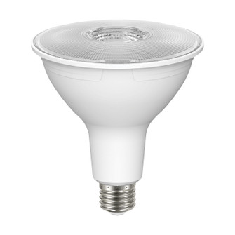 Light Bulb in Clear (230|S22219)