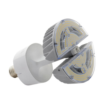 Light Bulb in Clear (230|S13127)