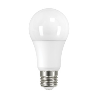 Light Bulb in Frost (230|S11432)