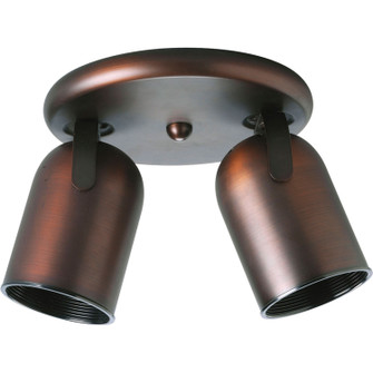 Directional Two Light Wall/Ceiling Fixture in Urban Bronze (54|P6149-174)