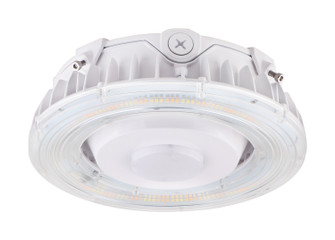 LED Canopy Fixture in White (72|65-623)