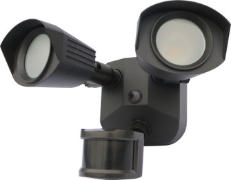 LED Dual Head Security Light in Bronze (72|65-219)