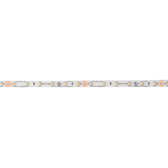 6Tl Dry Tape 24V LED Tape in White Material (Not Painted) (12|6T1100H30WH)