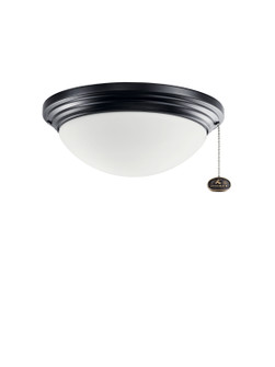 Accessory LED Fan Light Kit in Satin Black (12|380912SBK)