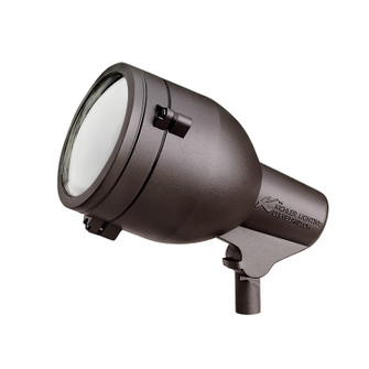 Hid High Intensity Discharge One Light Landscape Accent in Textured Architectural Bronze (12|15241AZT)