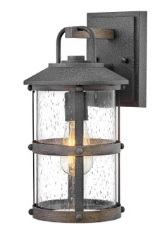 Lakehouse LED Outdoor Lantern in Aged Zinc (13|2680DZ)