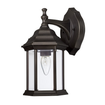 Outdoor One Light Outdoor Wall Lantern in Old Bronze (65|9830OB)
