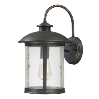 Dylan One Light Outdoor Wall Lantern in Old Bronze (65|9562OB)