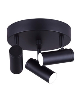 LED Ceiling/Wall Light in Black (387|LCW211A03BK)
