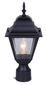 One Light Outdoor Lantern in Black (387|IOL13BK)