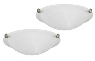 16 Series Two Light Flush Mount in Brushed Pewter (387|IFM1612TBPT)