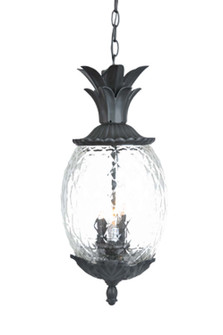 Lanai Three Light Hanging Lantern in Matte Black (106|7516BK)