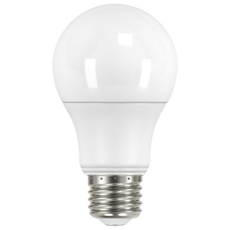 Light Bulb in Frost (230|S11450)