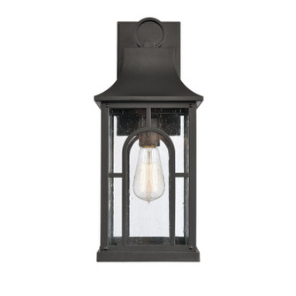 Triumph One Light Outdoor Wall Sconce in Textured Black (45|89600/1)