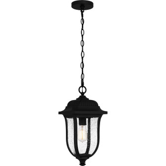 Mulberry One Light Outdoor Hanging Lantern in Matte Black (10|MUL1909MBK)