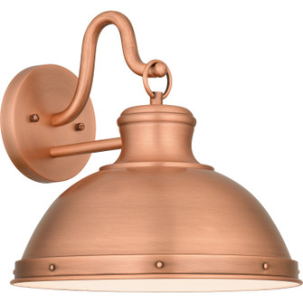 Jameson One Light Outdoor Wall Mount in Aged Copper (10|JAM8412AC)