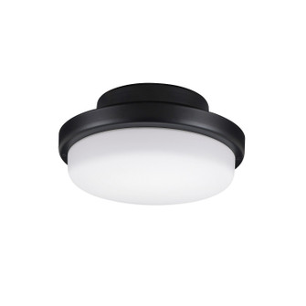TriAire Custom LED Fan Light Kit in Black (26|LK8514BLM)