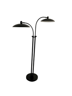 Ridgeline LED Floor Lamp in Black (30|RL202-BLK)