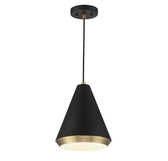 One Light Pendant in Matte Black with Natural Brass (446|M70122MBKNB)