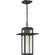 Randall One Light Outdoor Hanging Lantern in Mottled Black (10|RDL1909MB)