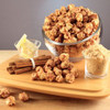 popcorn brochure fundraiser products with multiple flavors
gourmet popcorn fundraising program display for school groups