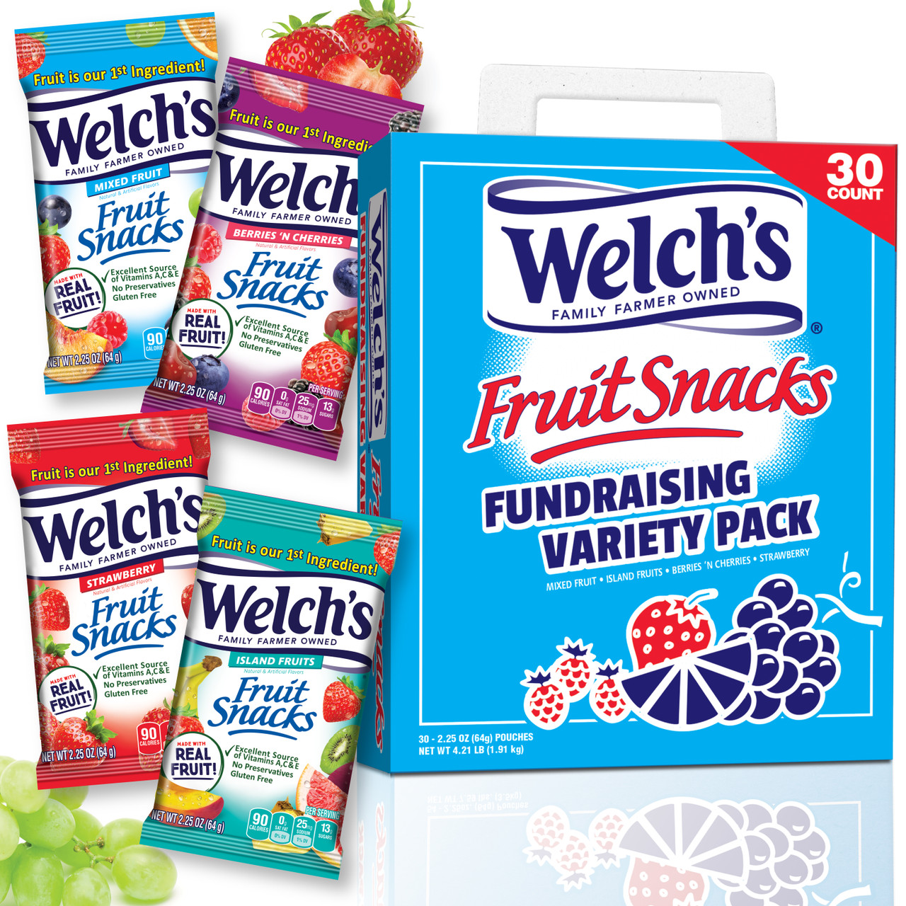 welchs fruit snacks fundraiser packs for schools and sports teams