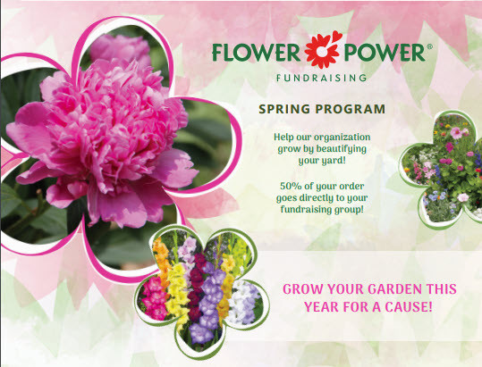 Flower Power - Learn More!