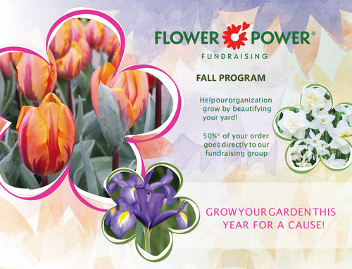 spring flower fundraiser products for school groups
garden and plant fundraiser display for team fundraising