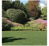 8'Tension Fabric Display Virtual View AR Backdrop