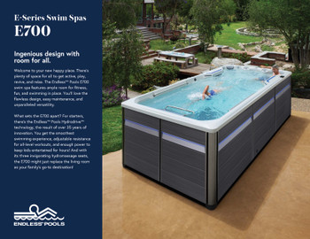 E700 Sell Sheet - Pack of 25 |  2026