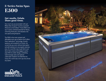 E500 Sell Sheet - Pack of 25 |  2026