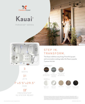 Paradise Kauai Spa Stand Graphic